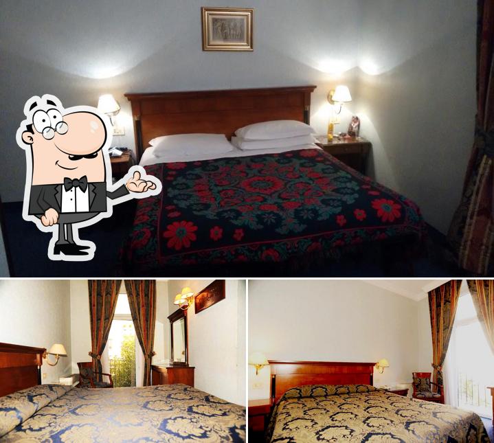 Dai un'occhiata agli interni di Hotel Silva