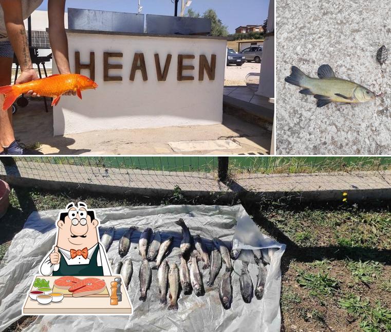 Asd nuova culla della trota serve un'ampia varietà di pasti a base di pesce