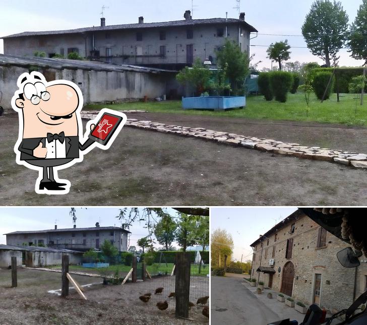 Curiosa tra l'area esterna di Ristorante dell'Agriturismo Palasina Nöa