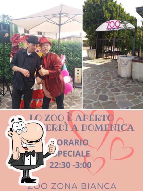 Guarda la foto di Zoo Sexy Disco