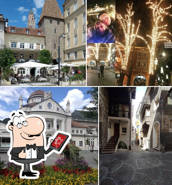 Curiosa tra gli esterni di Sigmund