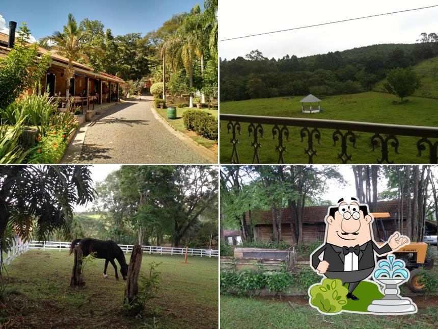 Fazenda das Oliveiras