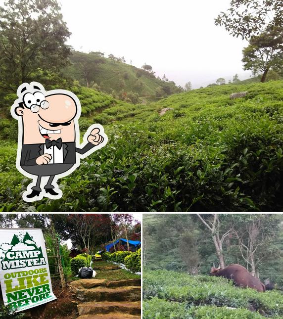 You can get some fresh air outside Camp Mistea