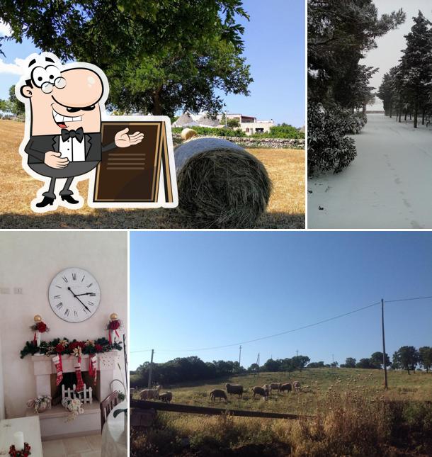Agriturismo Torrenuova