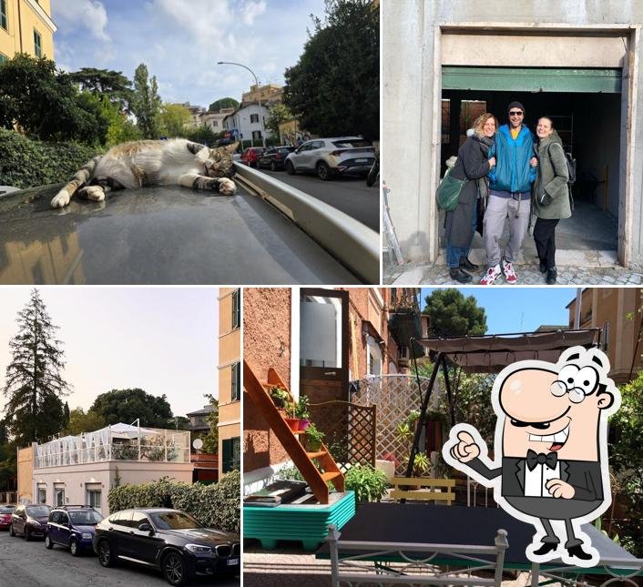 Goditi la vista dagli esterni di Dondolo