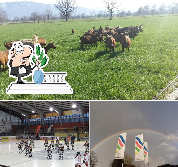 Guarda gli esterni di Sportzentrum Aegeten