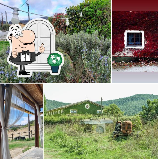 Curiosa tra la parte esterna di Casale di Martignano