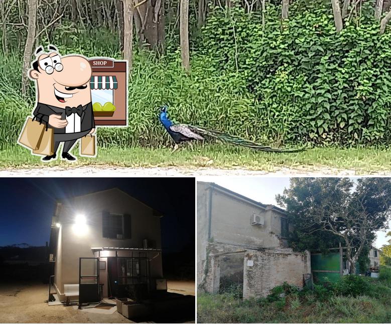 Goditi la vista dall'area esterna di Về Bờ Cấp Tốc