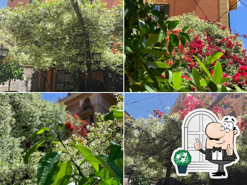 Curiosa tra gli esterni di Ottocento