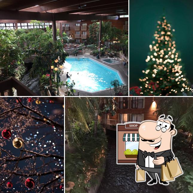 The Lodge Kitchen & Bar