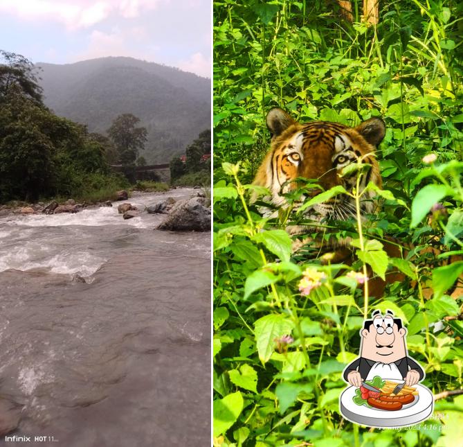 Food at Nitya Tea And Food Court
