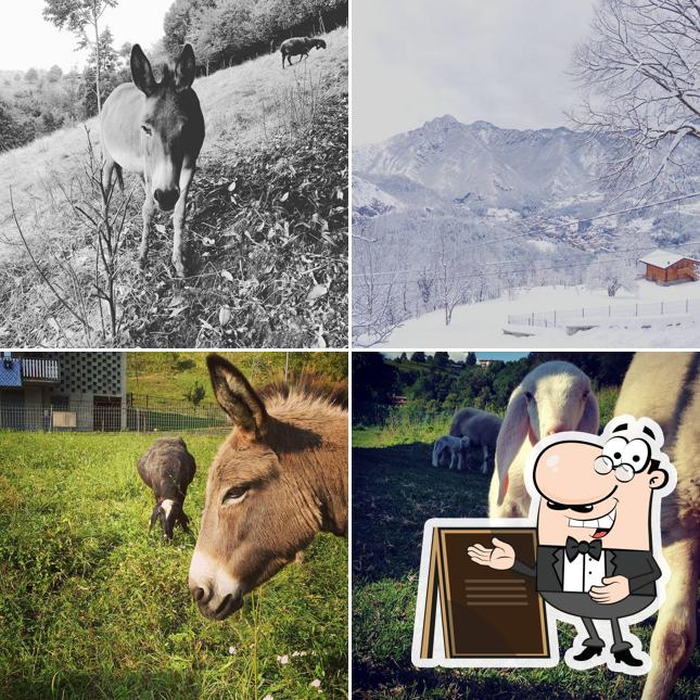 Agriturismo La Fruslina