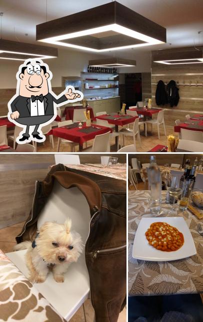 Gli interni di Trattoria Pizzeria Antica Bologna