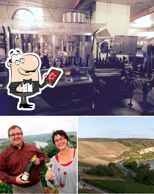 Stronck-Pinnel Domaine Viticole