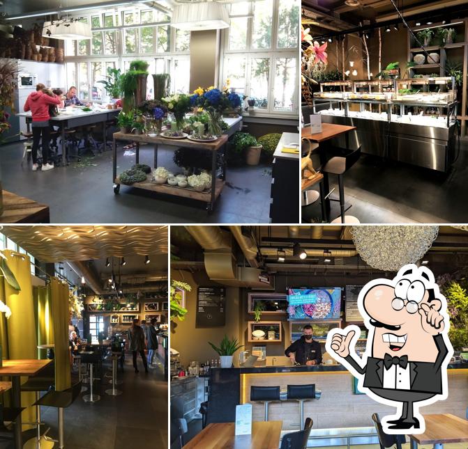 Dai un'occhiata agli interni di Hiltl Pflanzbar