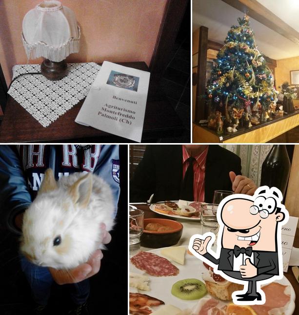 Guarda la immagine di Agriturismo Montefreddo