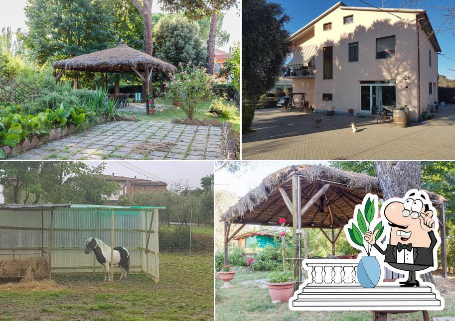 Gli esterni di Agriturismo Ristorante Artisti del Cavallo