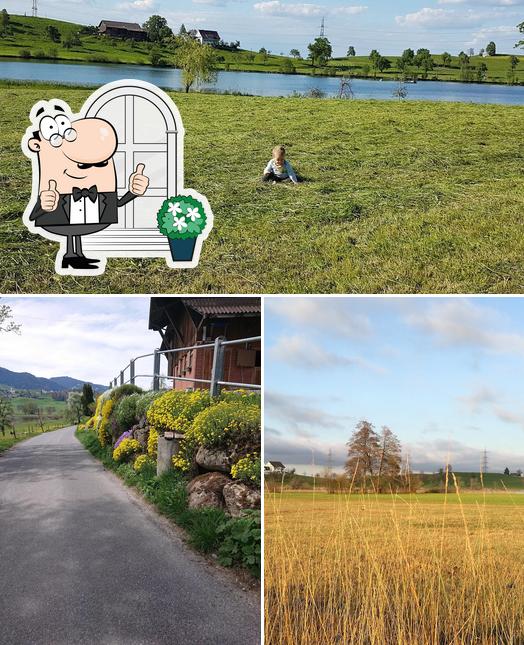 Gli esterni di Knobel