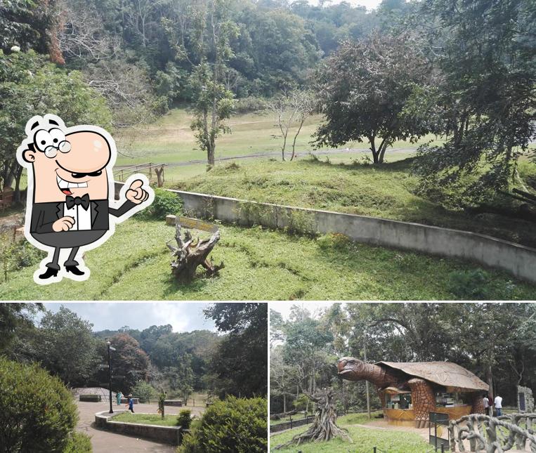 Check out how Vasant Vihar Pure Veg looks outside