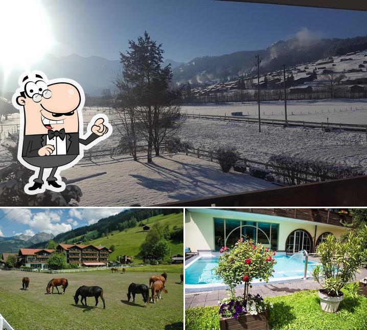 Guarda gli esterni di Hotel Simmenhof