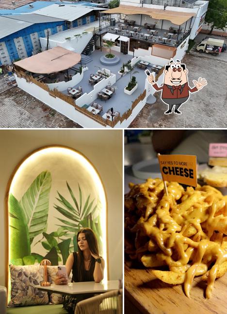 Among different things one can find food and exterior at Bower Tree Cafe Restro