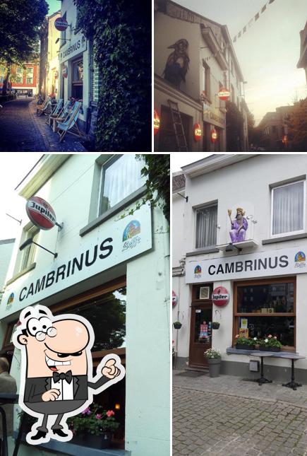 L'intérieur de Cambrinus