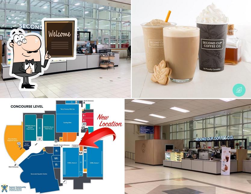 Second Cup Café
