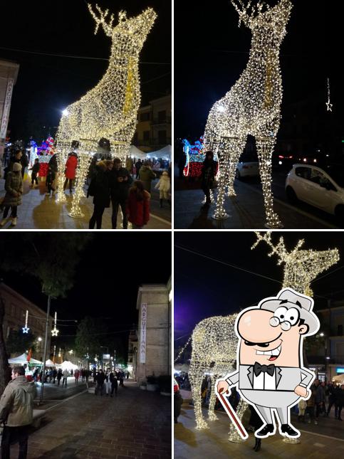 Guarda gli esterni di Chicca la Piadina