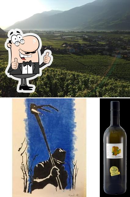 Guarda la immagine di Domaine Mettaz
