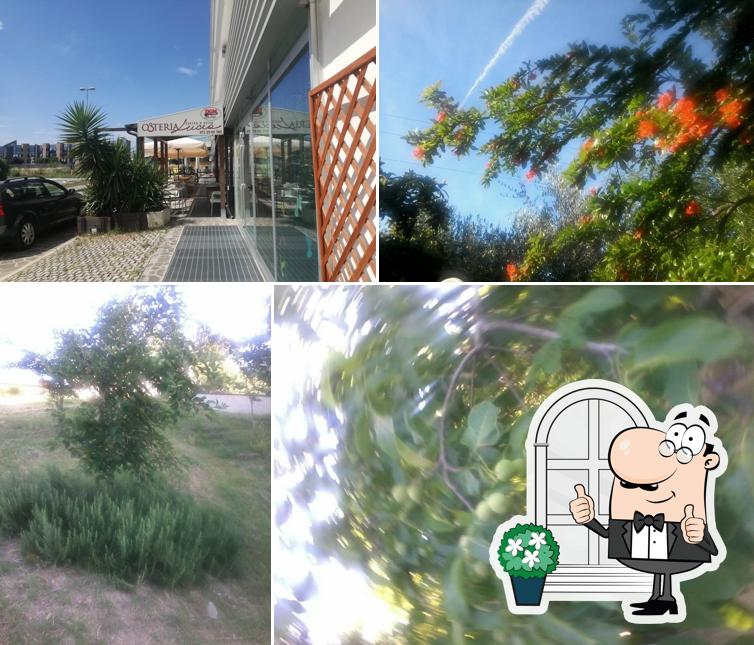 Gli esterni di Osteria Lucia