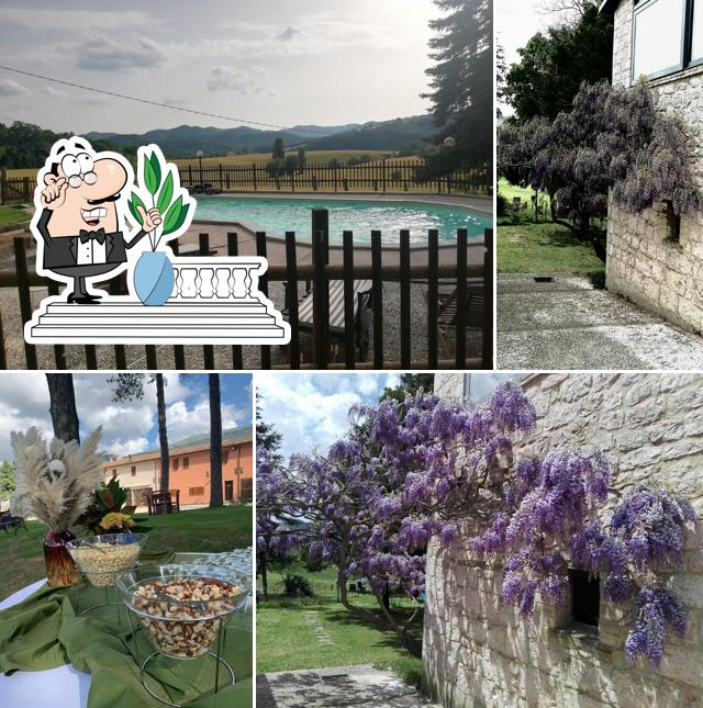 Villa Pascolo Country House