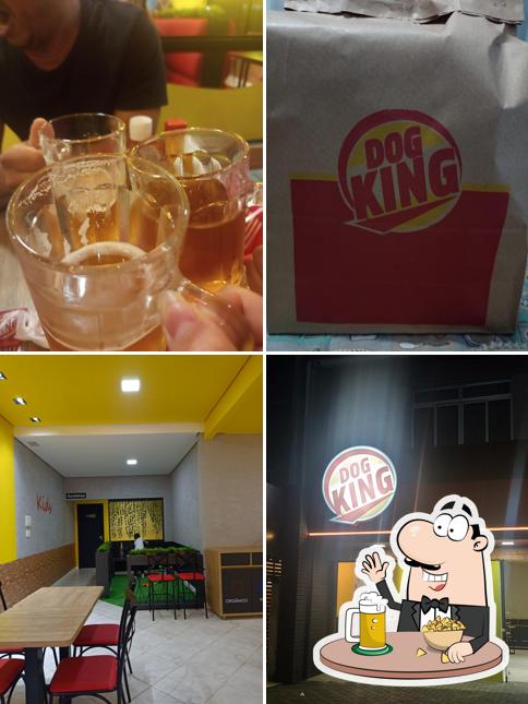 Dog King - Indaial