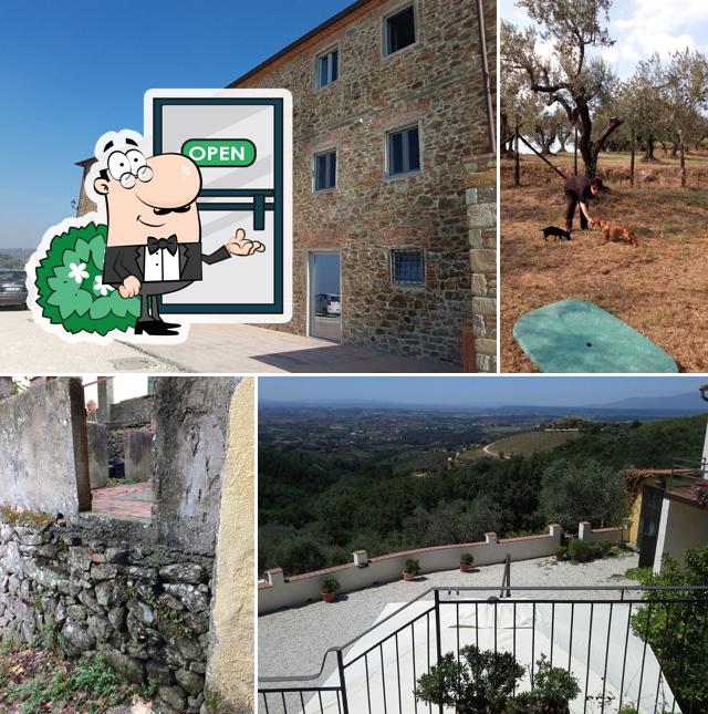 Guarda gli esterni di Agriturismo Bellavita