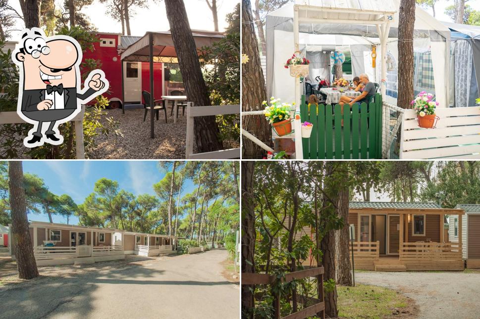 Guarda la parte esterna di Camping Village Mare Pineta