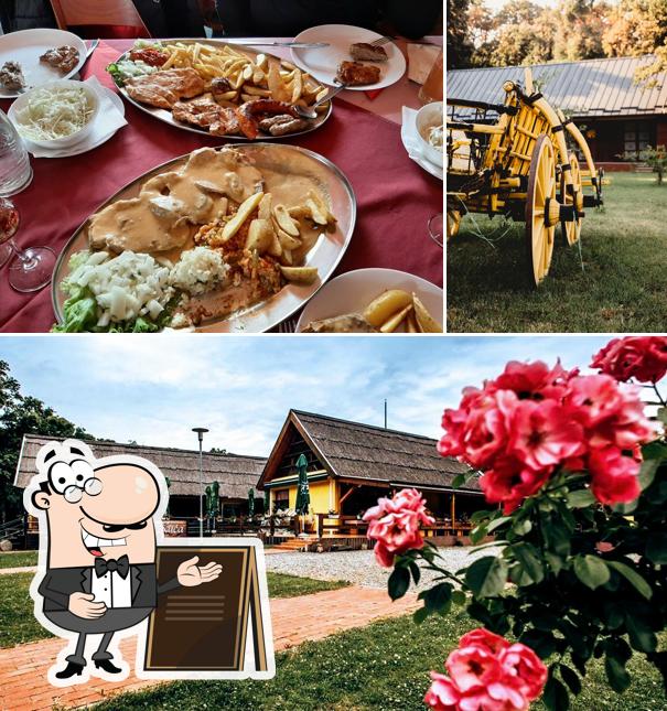 Puoi goderti l'aria fresca dal dehors di Vukovarska kuća - Park adica Vukovar