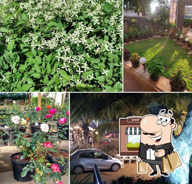 Nandinee Woodlands, Nasiklub