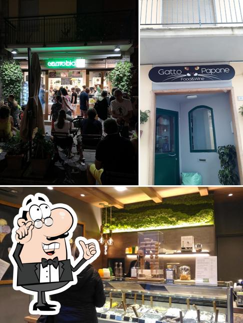 Gli interni di Gelato Bio