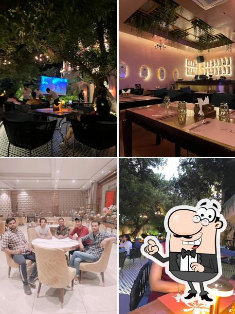 Check out how ZAZU looks inside