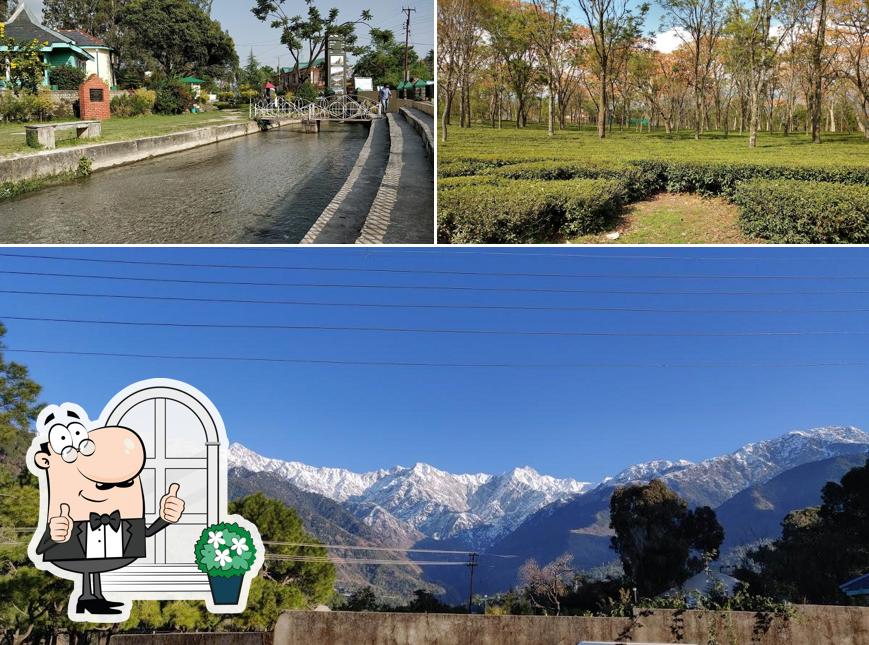 The exterior of Neugal Cafe