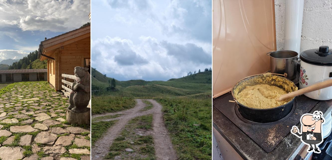 Guarda gli esterni di Casera Festons