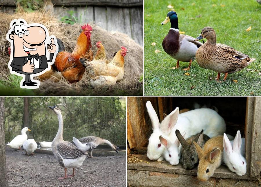 Meera Agro Gallery and Restaurant