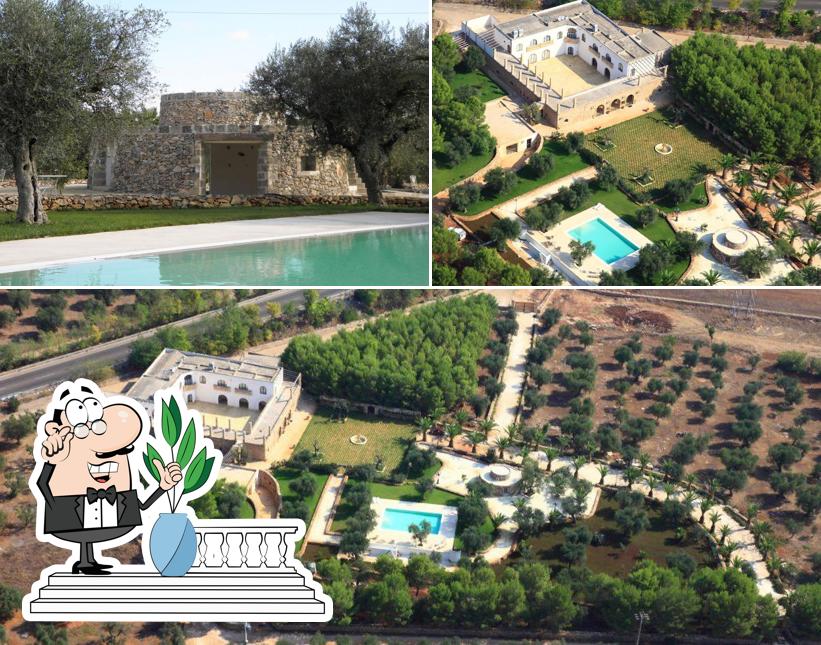 Guarda gli esterni di Masseria Cucuruzza