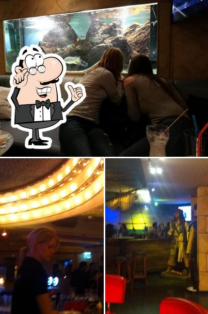 Gli interni di Aquarius Kinobar