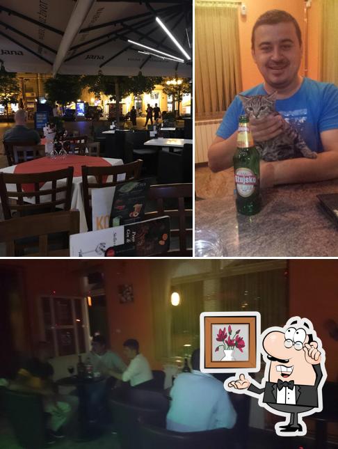 Dai un'occhiata agli interni di Stella