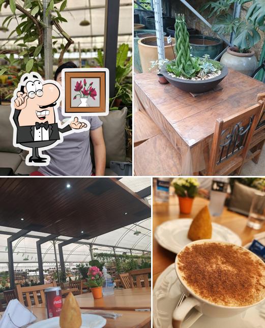 GARDEN CAFE