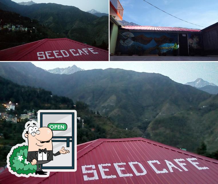 Enjoy the view outside New Seed Cafe