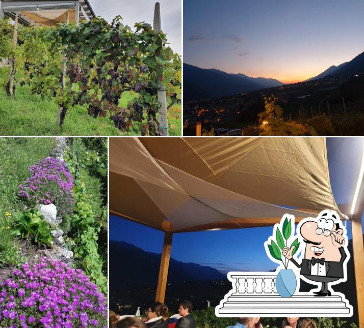 Agriturismo Miarescia di Giumelli Mariarosa
