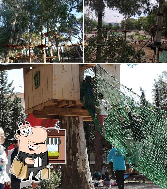 Guarda gli esterni di Koala Park - Parco Avventura Domusnovas