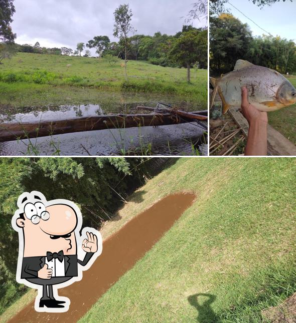 Pesqueiro cantinho do sossego