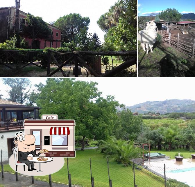 Puoi goderti l'aria fresca da seduto all'esterno di Il Rustico La Casa degli Ulivi